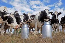 Ministro Kreimerman dijo que la cadena láctea es un “ejemplo ideal” de dinamismo, innovación y diversificación