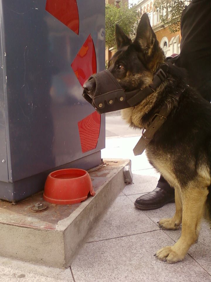 Concentración frente al Punta Carretas Shopping para demostrar el repudio a la utilización de perros de guardia