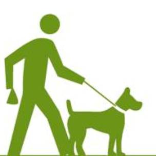 Ciudadano propone microchips para perros para responsabilizar a dueños por la caca de su animal que ensucia veredas y parques