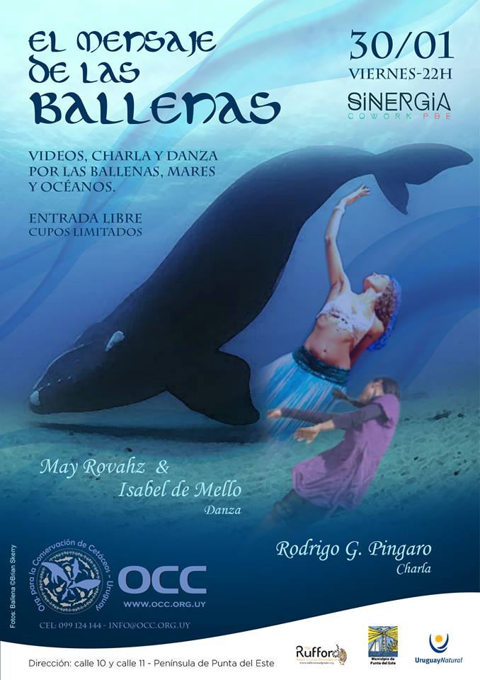 Danza, charlas audiovisuales y exposición fotográfica sobre ballenas