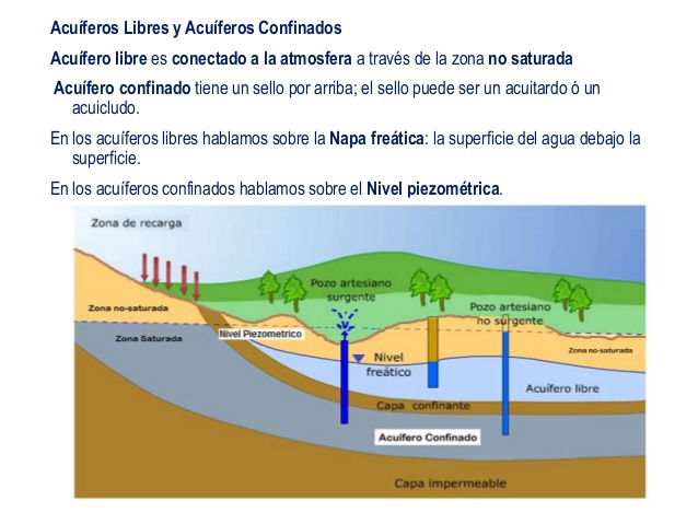 Gerardo Amarilla realiza exposición escrita ante la posibilidad de utilizar pozos de agua subterránea para la nueva planta de UPM