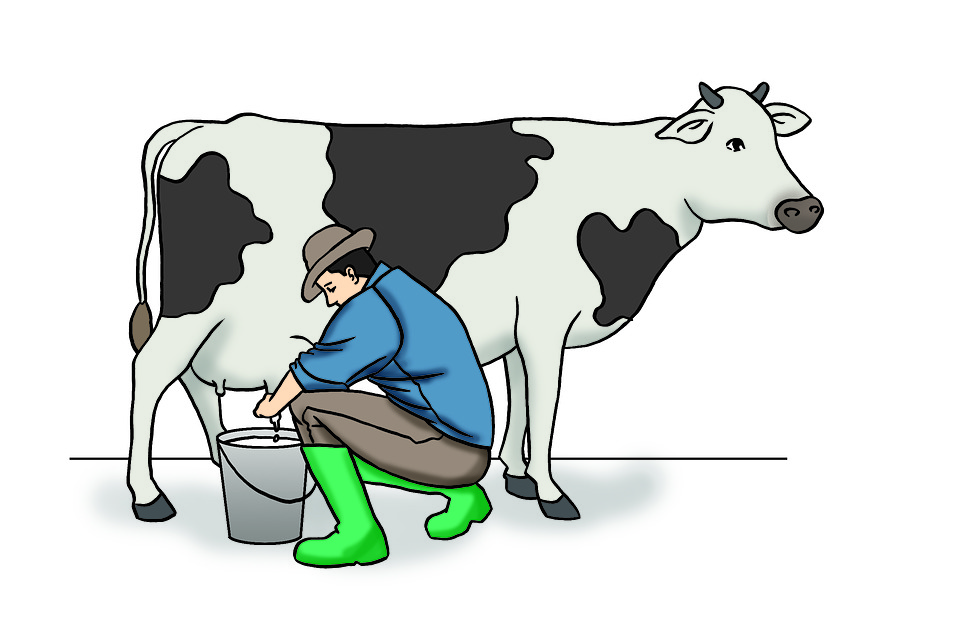 Werner Gutiérrez: “Las vacas no dan leche, hay que ordeñarlas”