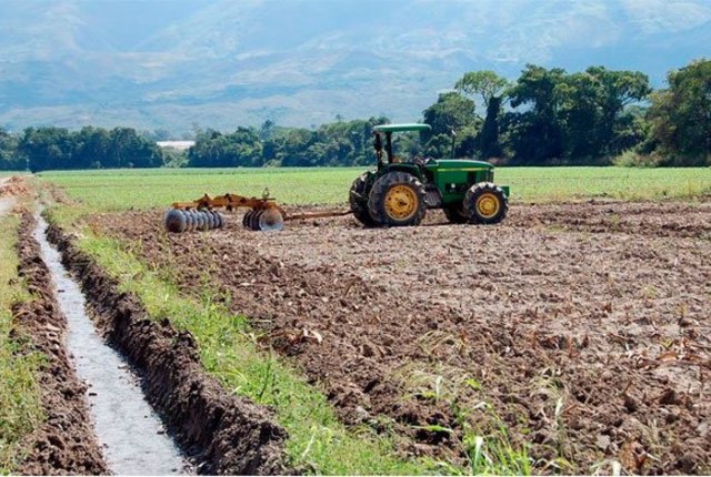 Werner Gutiérrez: “No lograrán doblegar al sector agropecuario venezolano”