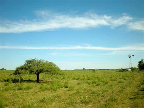 Presentarán resultados de proyecto sobre manejo sostenible del campo natural en el Uruguay