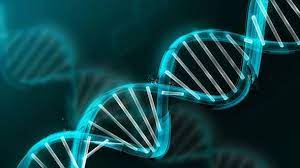 La “garra charrúa” ¿es una herencia genética?