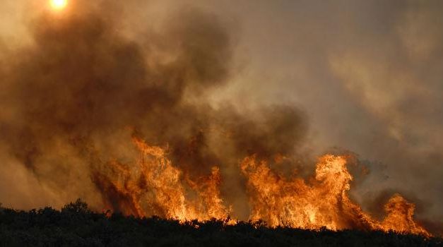 Movus: Parlamento aprobó Ley de Prevención de Incendios Forestales