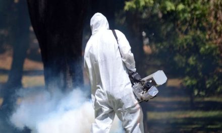 Fumigación por mosquitos: ¿dónde se hará a partir de este martes 26?