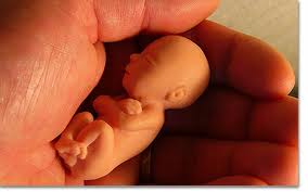 Diputado Amarilla: “Por los chiquitos que faltan, por los chiquitos que vienen, nunca más aborto”