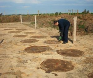 Tacuarembó, tierra de dinosaurios