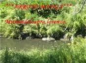 Liceales investigan calidad de las aguas del Arroyo Manga