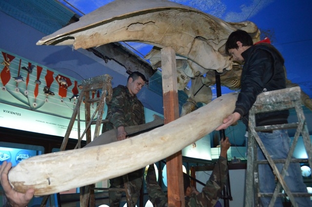 Operación Ballena para Latitud Ciencias