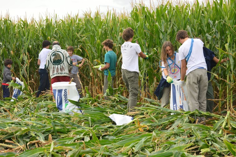 Quinta edición de “La Chocleada” de Cultivando Lazos