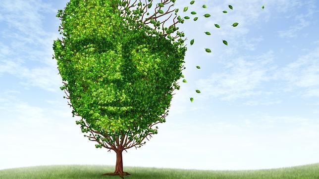 Propone la creación de un Programa Nacional de Lucha contra la Enfermedad de Alzheimer