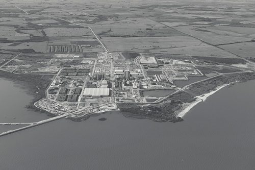 Producción Celulosa