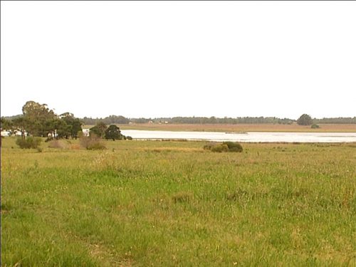 Laguna del Cisne