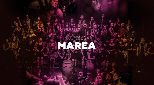 Marea