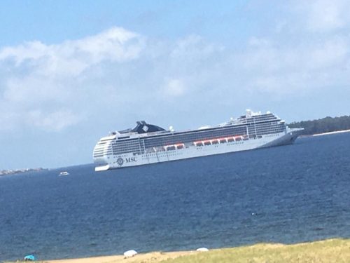 Crucero Punta del Este