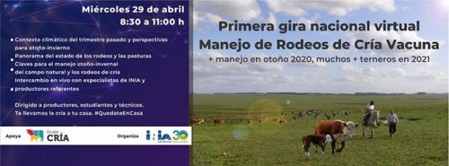 Gira Virtual Rodeo de Cría Vacuna