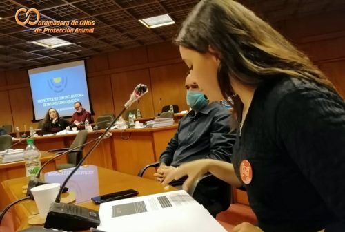 Coordinadora Protección Animal