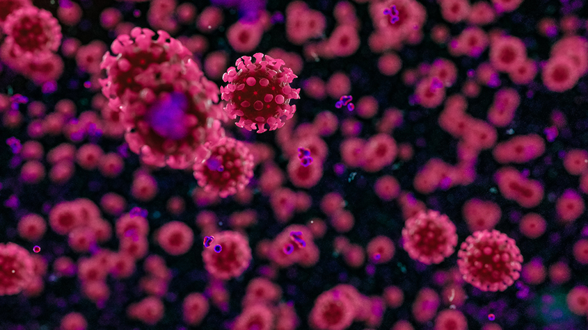 Covid-19 en Uruguay: Un nuevo fallecimiento y 8 nuevos casos en 1853 análisis: 239 personas activas