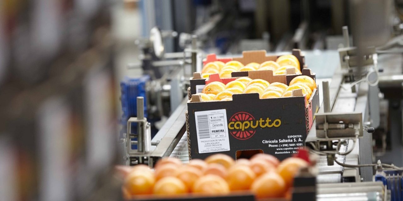 Citrícola Salteña fue distinguida por ser la mayor exportadora del sector
