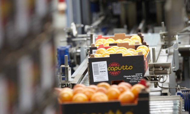 Citrícola Salteña fue distinguida por ser la mayor exportadora del sector