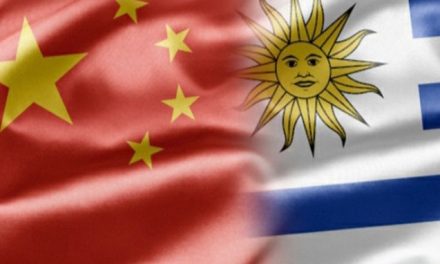 Uruguay – China: Las exportaciones se situaron en US$ 867 millones, sin considerar las zonas francas en segundo semestre de 2020