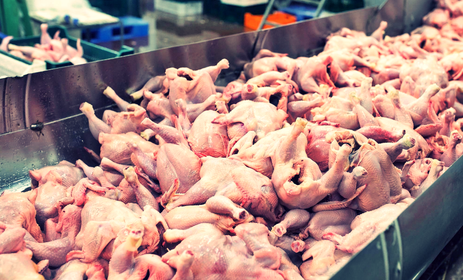 Importación de pollo