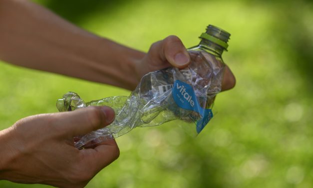 “Cambiemos la herencia”, la propuesta de concientización medioambiental de Vitale