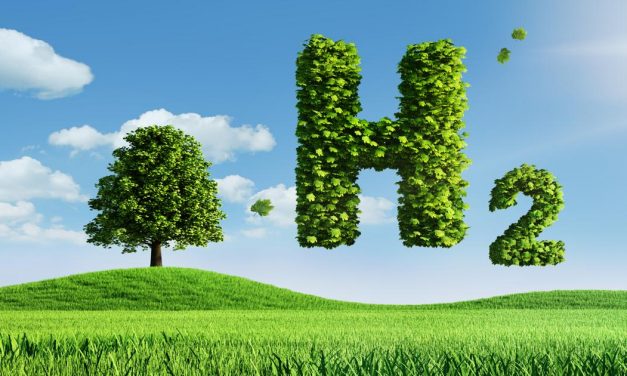 Paganini dió a conocer los planes de Uruguay para el desarrollo del hidrógeno verde