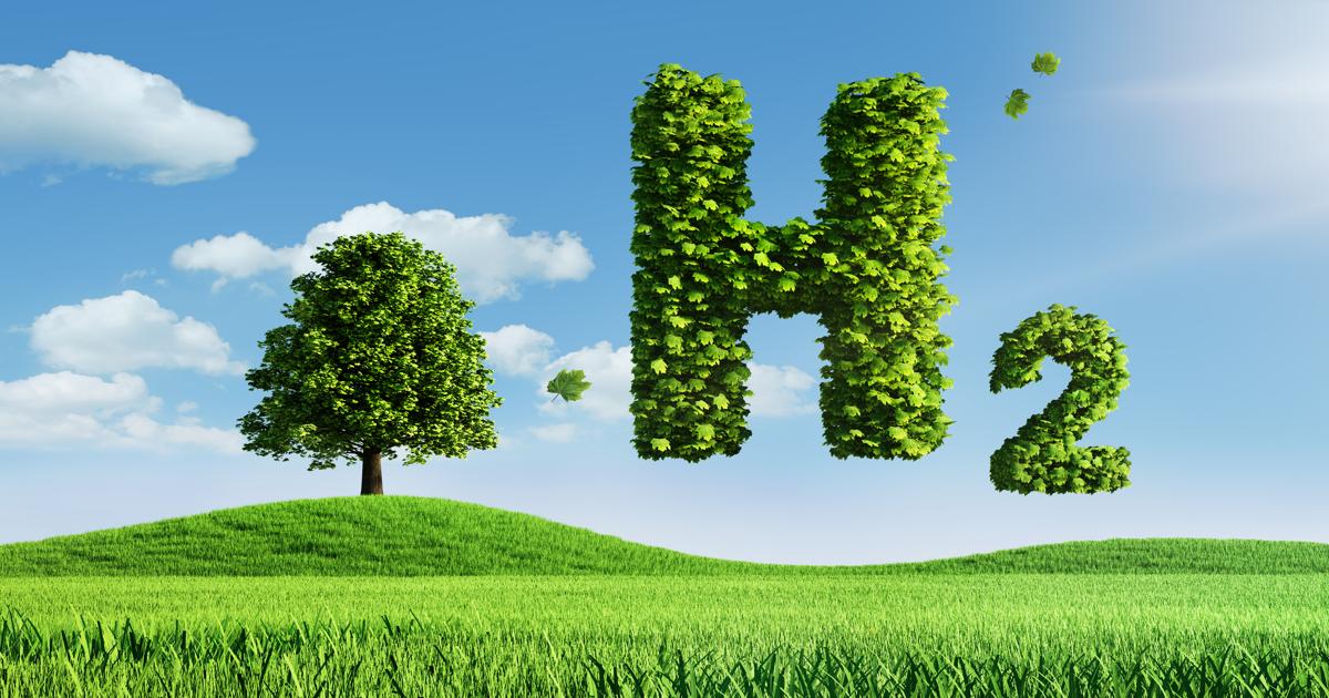 Paganini dió a conocer los planes de Uruguay para el desarrollo del hidrógeno verde