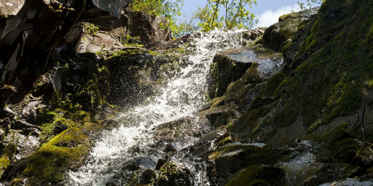 Coca-Cola reafirma su compromiso con el cuidado del agua a través de una estrategia con objetivos al 2030
