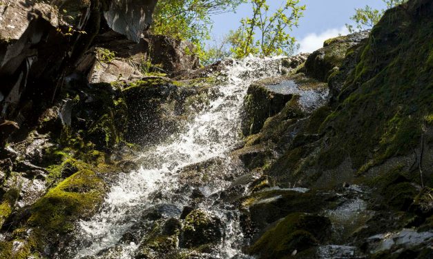 Coca-Cola reafirma su compromiso con el cuidado del agua a través de una estrategia con objetivos al 2030