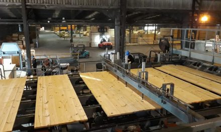 Tacuarembó: Uruguay recibe inversión que transforma y agrega valor a la industria forestal maderera