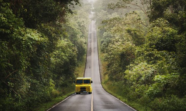 PROSEGUR LANZA UN PLAN DE DESCARBONIZACIÓN PARA ADELANTARSE 10 AÑOS A LOS OBJETIVOS DEL ACUERDO DE PARÍS
