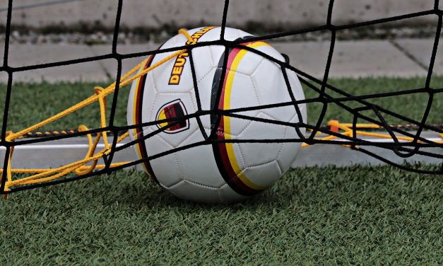 Conmebol suspende la Copa América en Argentina