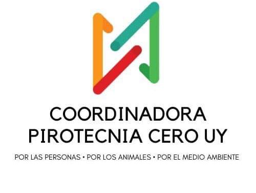 Coordinadora Pirotecnia Cero Uy: ¿Quiénes son, qué piensan y qué proponen?