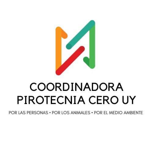 Coordinadora Pirotecnia Cero Uy: ¿Quiénes son, qué piensan y qué proponen?