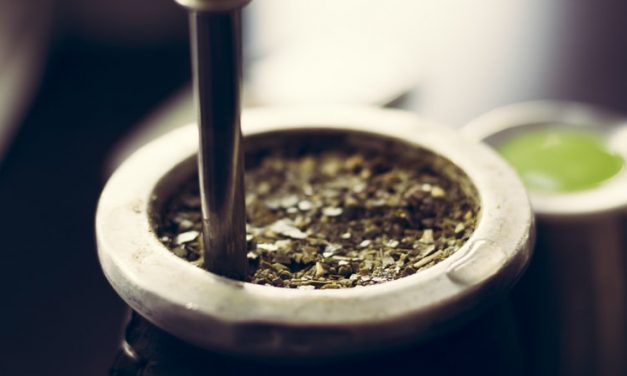 Investigan presencia de elementos cancerígenos en el mate