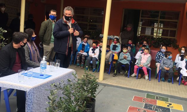 Plantatón se llevó a cabo en Migues con plantación de 50 árboles nativos