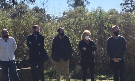 Plantatón Uruguay, “una política de Estado” en favor del medio ambiente
