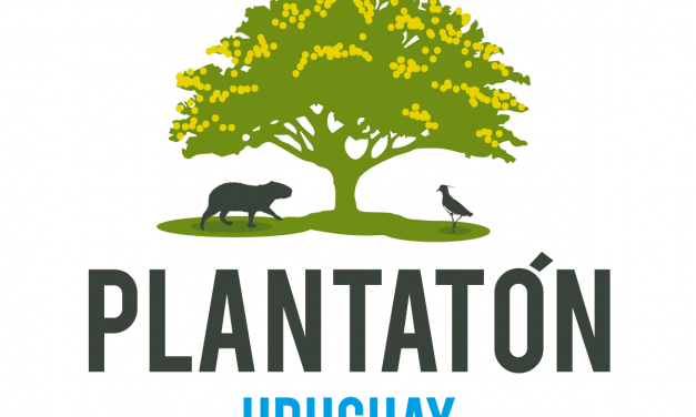 Subsecretario Amarilla (MA) participa de Plantatón en Fray Marcos, recorre planta de encapsulado, zona verde y OSE en Florida