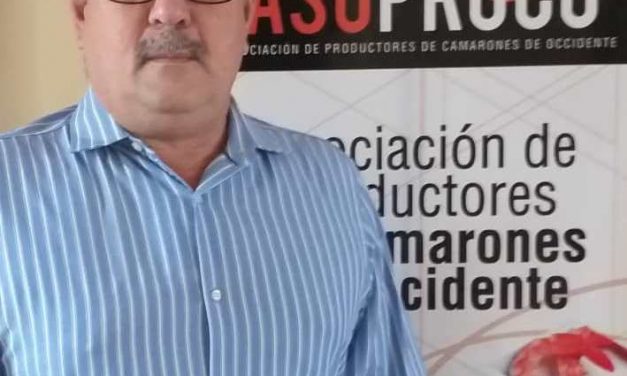 Venezuela se proyecta como segundo exportador de camarones de Latinoamérica