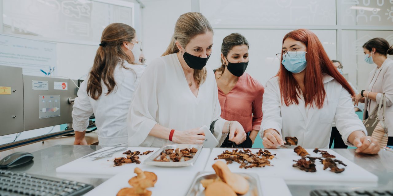 Montes del Plata y UTEC firman acuerdo para desarrollar la producción de hongos comestibles en montes forestales