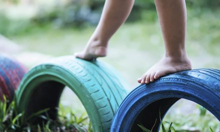 ANEP declaró de interés educativo el evento «El ambiente como tercer educador»