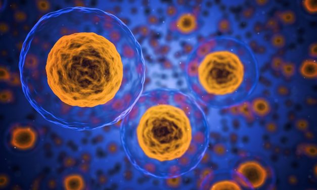 MEC: Créase el Gran Premio Nacional de Ciencias 2021