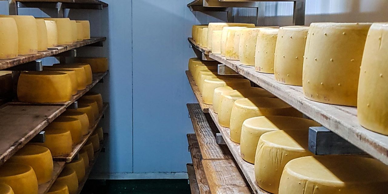 Conferencia de prensa sobre el programa de Desarrollo de la Quesería Artesanal