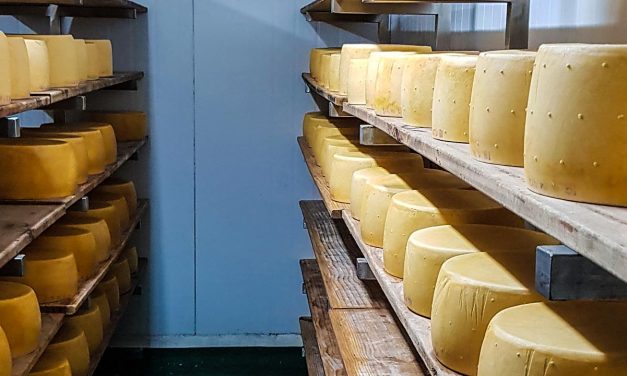 Conferencia de prensa sobre el programa de Desarrollo de la Quesería Artesanal