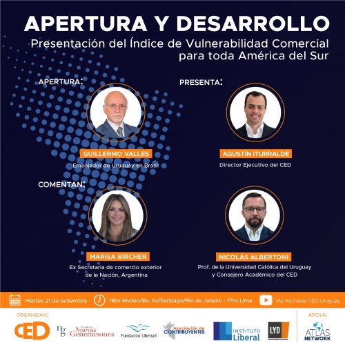 CED vulnerabilidad comercial