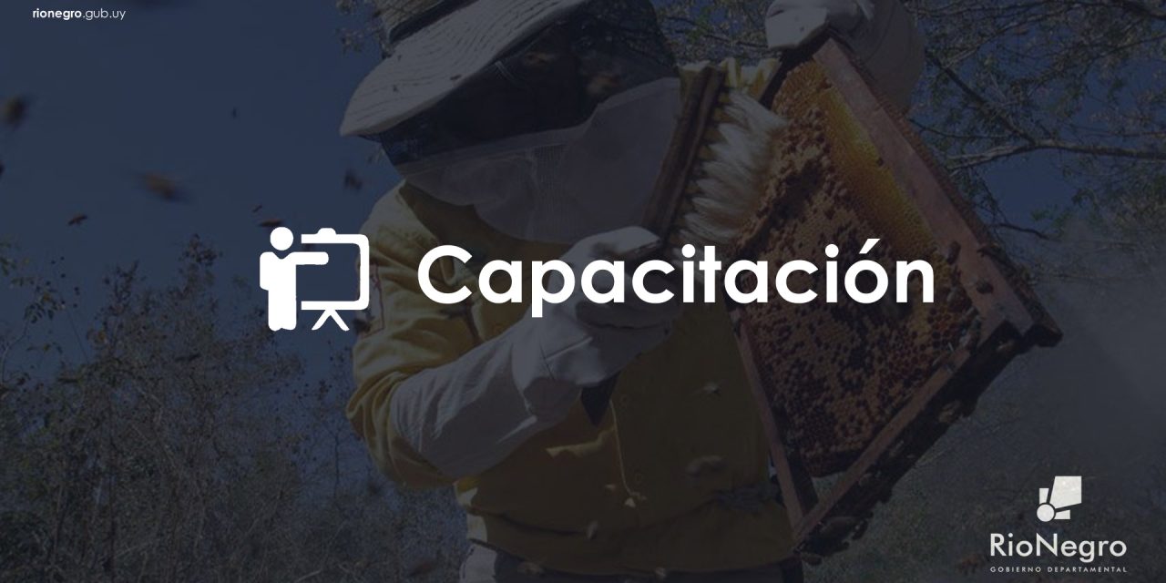 Curso Introducción de Formación a Operarios Apícolas
